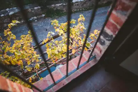 Fattoria di Corsignano - 138