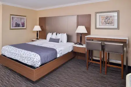 Best Western Airpark - LAX Airport LA Stadium - 4