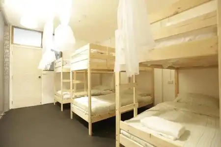 Tiger Lily Hostel - 20
