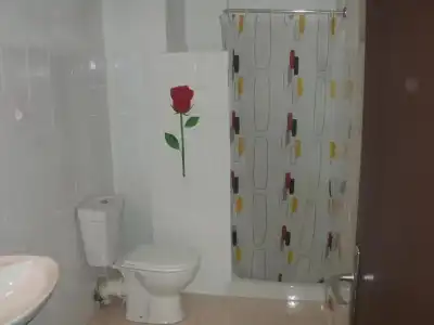 Hostal Sol de Mallorca. - 32