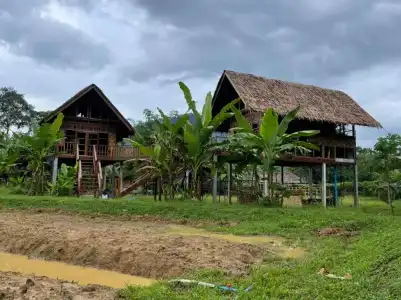 Our Jungle Camp - Eco Resort - 14