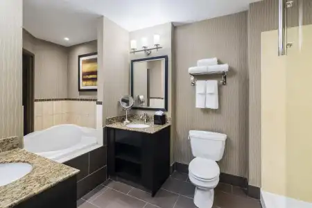 Best Western Premier Freeport Inn Calgary Airport - 158