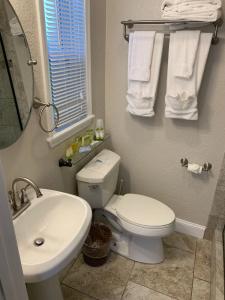 Siesta Palms By the Beach - 66