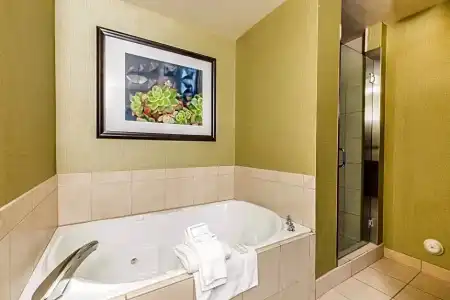 Hilton Garden Inn St. George - 61