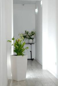 Gardenia Suites - 13