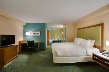 SpringHill Suites by Marriott Orlando Lake Buena Vista South - 25