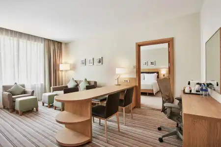 Hilton Garden Inn Dubai, Mall Avenue - 15