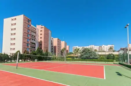 HYB Eurocalas - 26