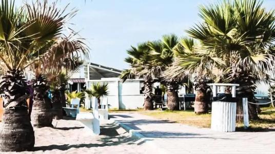 Torquemada Beach Club - 43
