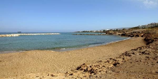 Venus Beach - 45
