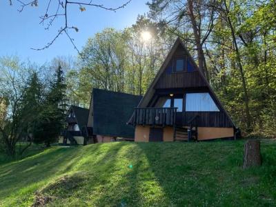 Family Club Harz - 16