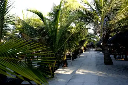 Sunrise Beach Resort - 13