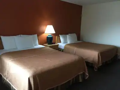 Pine Tree Inn - 2