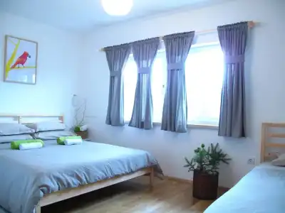 Guesthouse Bor - 11