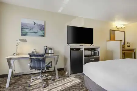 Best Western Plus Peppertree Airport Inn - 45