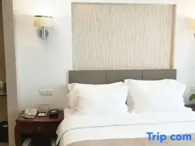 Shenzhen Sichuan - 43