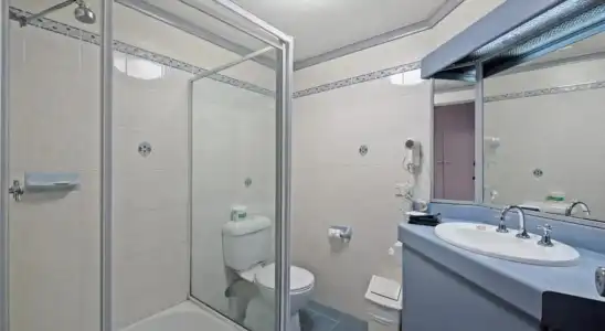 Palm Court Motor Inn - 9