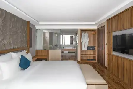 Sophia - 100