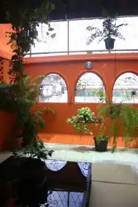 Born Free Hostel - 21