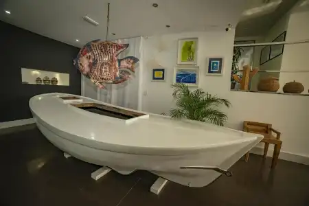 MC San José - 9