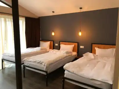 Chemodann Kazbegi - 37