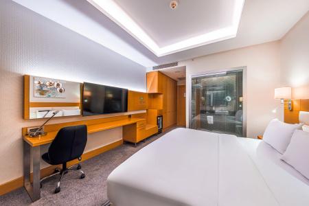 Holiday Inn Ankara - Cukurambar by IHG - 50