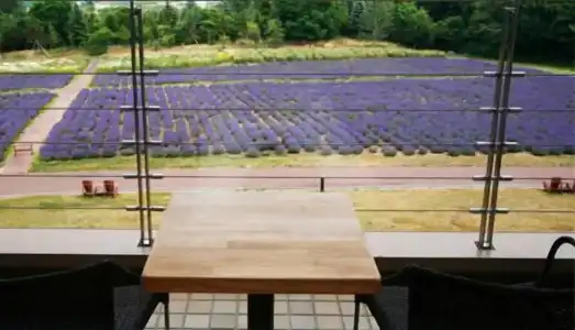 Furano - 56