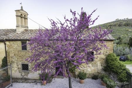 Relais Villa Belpoggio - Residenza d'Epoca - 123