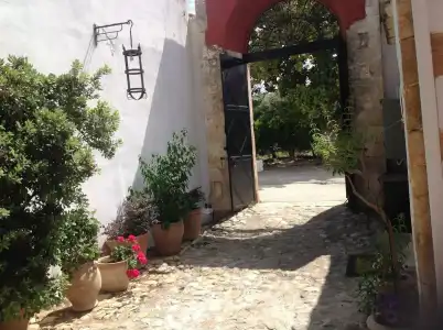 Oasis Guesthouse - 14