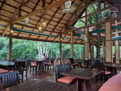 Our Jungle Camp - Eco Resort - 10