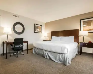 Rodeway Inn Los Angeles Convention Center - 4