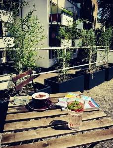 Mauritius Komfort in der Altstadt - 10