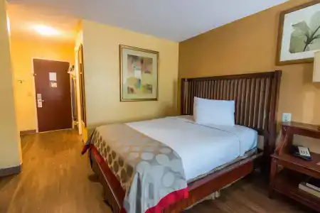 B&B Orlando International Drive Near Universal - Newly Renovated! - 3