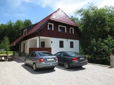 Guest House Wolf - 8