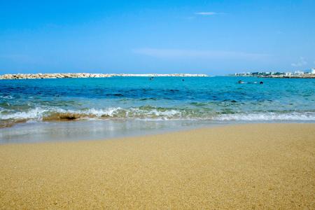 Venus Beach - 42
