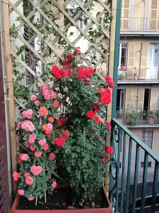 La Breccia a Porta Pia - 45