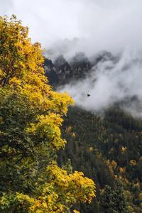 Jungfraublick - 20