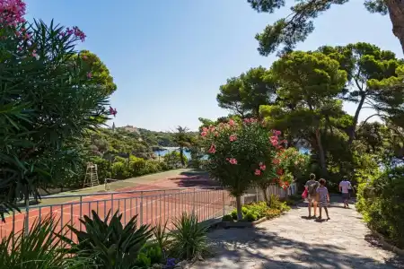 Le Provençal - 46