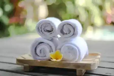 Purana Suite Ubud - 52