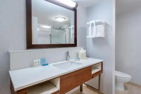 Hampton Inn Suites Minneapolis St Paul Arpt-Mall of America - 57