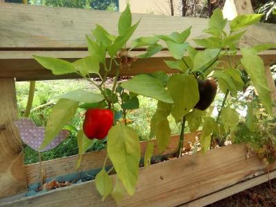 Markgraf Leipzig - 42