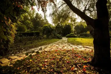 Beso Berke Ranch - 27