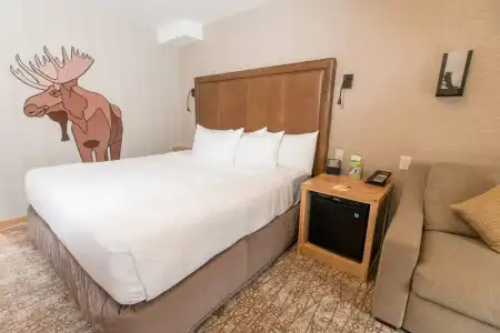 Moose And Suites - 4