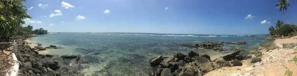 Polhena Sea View - 17