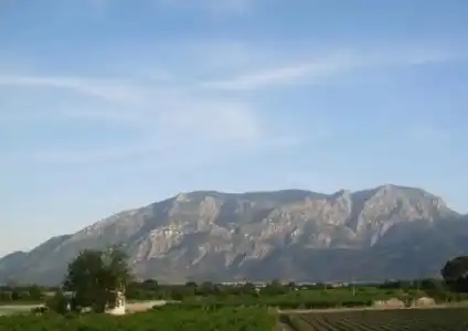 Orucoglu Oreko - 32