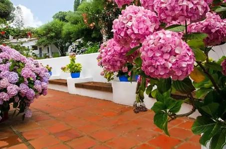 Mesón de Sancho - 108