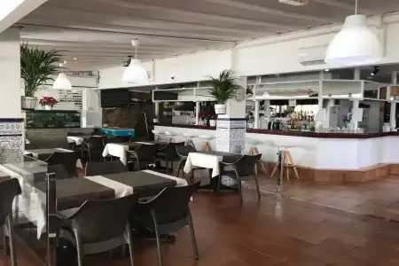 Vista Oasis - 27