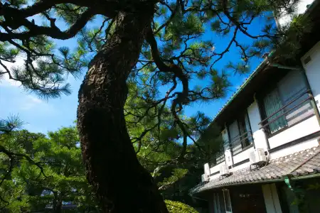 Ryokan Wataya - 12