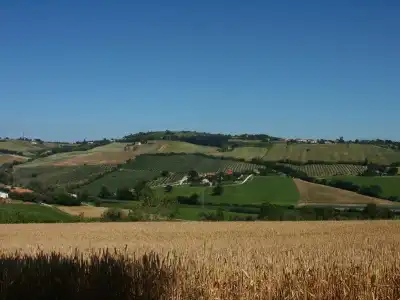 A3Passi Agriturismo tra gli Ulivi - 8