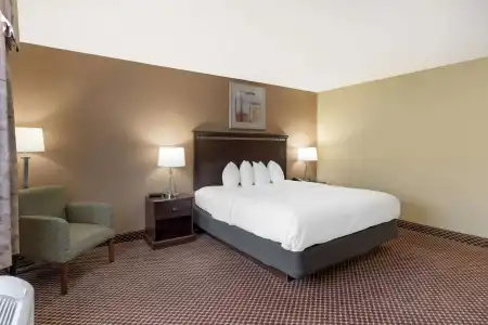 Quality Inn & Suites Bloomington University Area - 45